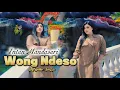 Download Lagu Wong Ndeso - Intan Mandasari