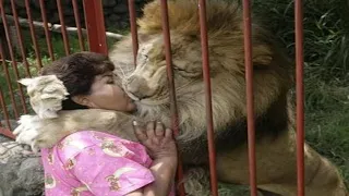 The Most Touching Animal and Owner Reunions Ever Filmed
