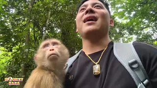 Monkey Kaka was overjoyed and hugged her dad when she saw dad coming to look for her