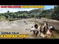 Download Lagu Panen Lubuk Larangan I sungai Raja, kampar-Riau