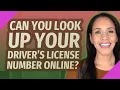 Can you look up your driver s license number online