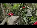 Download Lagu Hantu Pendaki yang sudah Meninggal? 6 Penampakan Hantu Asli dan Seram yang Pernah Tertangkap Kamera