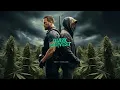 Download Lagu The Best Action Crime🎬Dark Harvest🎬Full Movie in English