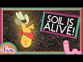 Soil Is Alive SciShow Kids
