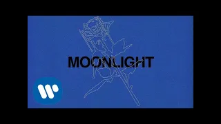 Ali Gatie Moonlight Official Lyrics Video 
