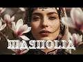 Lagu Magnolia მაგნოლია - Instrumental Remix (Georgian Music)