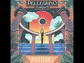Download Lagu Pellegrino \u0026 Zodyaco - Palepoli [EAS025]