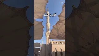 قلبي في المدينة بدون موسيقى Foryou بدون موسيقى اكسبلور Song Songs Ramadan 