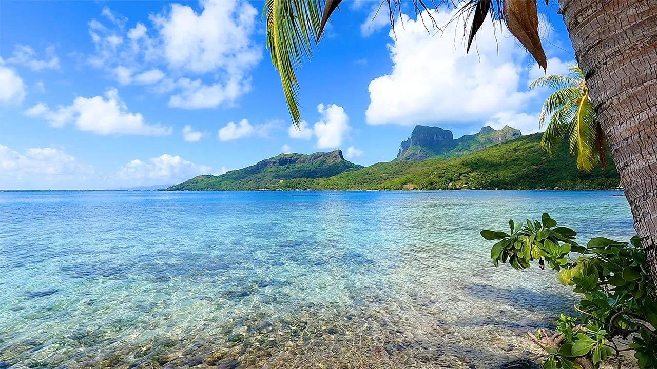 French Polynesia: 3 Hours of Tropical Island Ambience For Relaxation