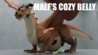 Malf s Cozy Belly
