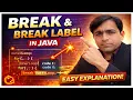 Break Break Label in Java Complete Explanation with Examples Hindi