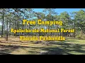 Free Camping Apalachicola National Forest Florida Panhandle