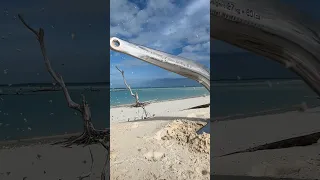 Our bow is looking alot shinier these days💪🏼 #ultramarine #ultraanchor