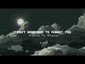 Download Lagu Shakira ft. Rihanna - Can't remember to forget you | sped up (Lyrics)