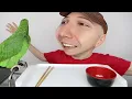 Slashter s Nikocado Avocado YTP Compilation 2024 Edition