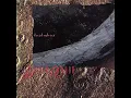 David Sylvian - Silver Moon