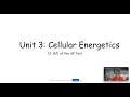AP Biology Unit 3 Review Updated 2025-2026