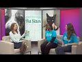 3 Plus Your Pets - Chattanooga Pet Sitter