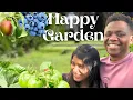 Download Lagu Ellam kaaikka arambichiruchi 😍 | Happy gardening 🌱| Unexpected yield #trendingvideo #trending  #vlog