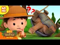 Download Lagu SELAMATKAN KURA-KURA RAKSASA | Cangkang Kuat | Leo Si Penjaga Alam | Kartun Anak