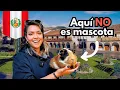 Download Lagu ¿Qué hacer en Cusco 2025? Perú 🇵🇪🔥