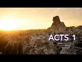 ACTS 1 NIV BIBLE