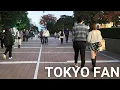 新宿散歩 |【4K】 Evening Walking Shinjuku Tokyo Japan (Nov. 2025)