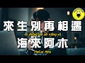 海來阿木 - 來生別再相遇(原曲：離別的車站)『當我走在奈何的橋上 回憶的風吹紅我的眼眶』【繁體拼音動態歌詞Lyrics】【CC字幕】