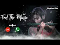 Download Lagu Tum Mile Dil Khile 🥰|| New Flute Ringtone 🎶|| instrumental ringtone 💗 bansuri ringtone 🇮🇳