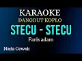 Download Lagu STECU - STECU - Faris adam ( KARAOKE DANGDUT KOPLO NADA CEWEK )