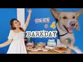 HAPPY BARKDAY RAIRAI 4 VLOGcontent0042