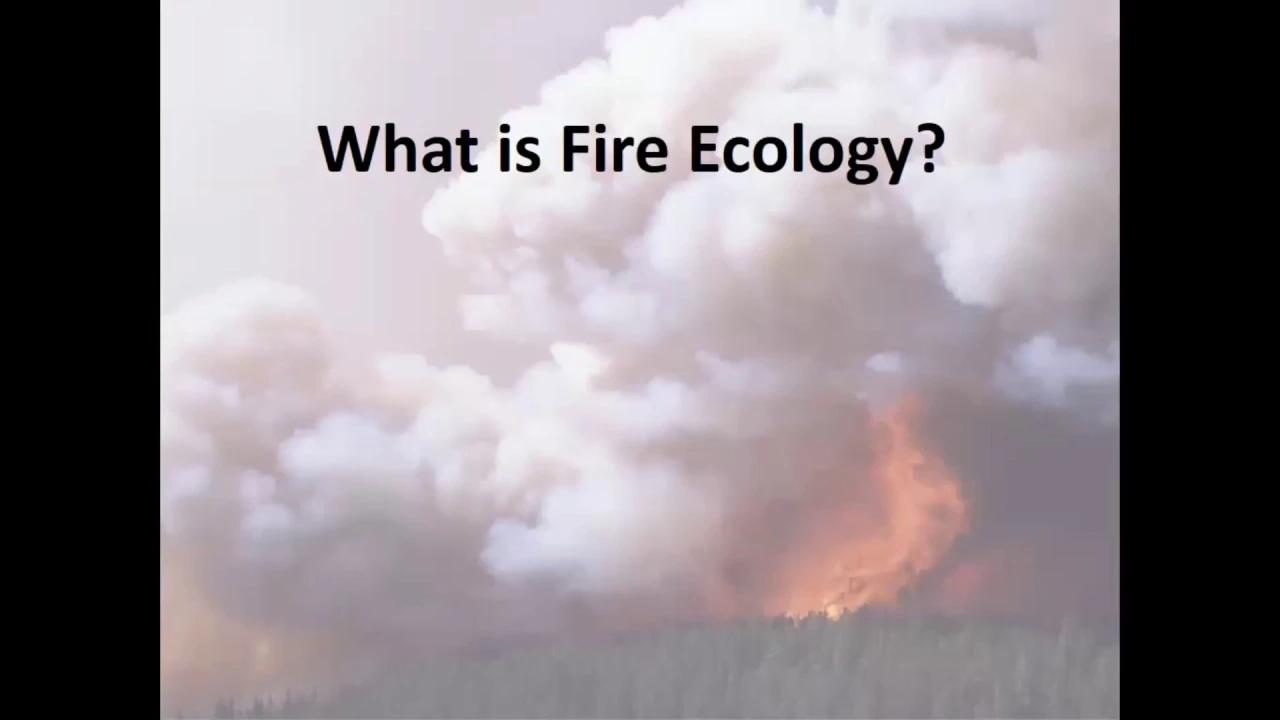 Introduction on California Fire Ecology