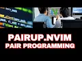 pairup nvim real-time AI pair programming in neovim