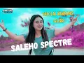 Download Lagu DJ SALEHO SPECIAL SETENGAH KENDANG