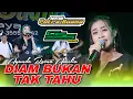 Lagu DIAM BUKAN TAK TAHU - AYUNDA RATNA AMELIA || NEW PUTRA BUANA \u0026 CSS PRODUCTION