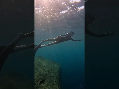 울릉도 프리다이빙 😗 수트는 #시어친 챠밍 스프링슈트 !! #울릉도여행 #프리다이빙 #freediving