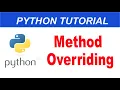 Method Overriding in Python Python Complete Course in