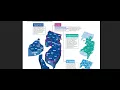 Amerihealth vs Horizon BCBS Network