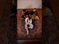 Download Lagu Bato - Ebi (Coverd By Reyha \u0026 Drinyra)