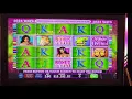 160 BET HUGE WIN WHITE ORCHID FREE SPINS - TAMPA HARD ROCK HIGH LIMIT 1 Denom