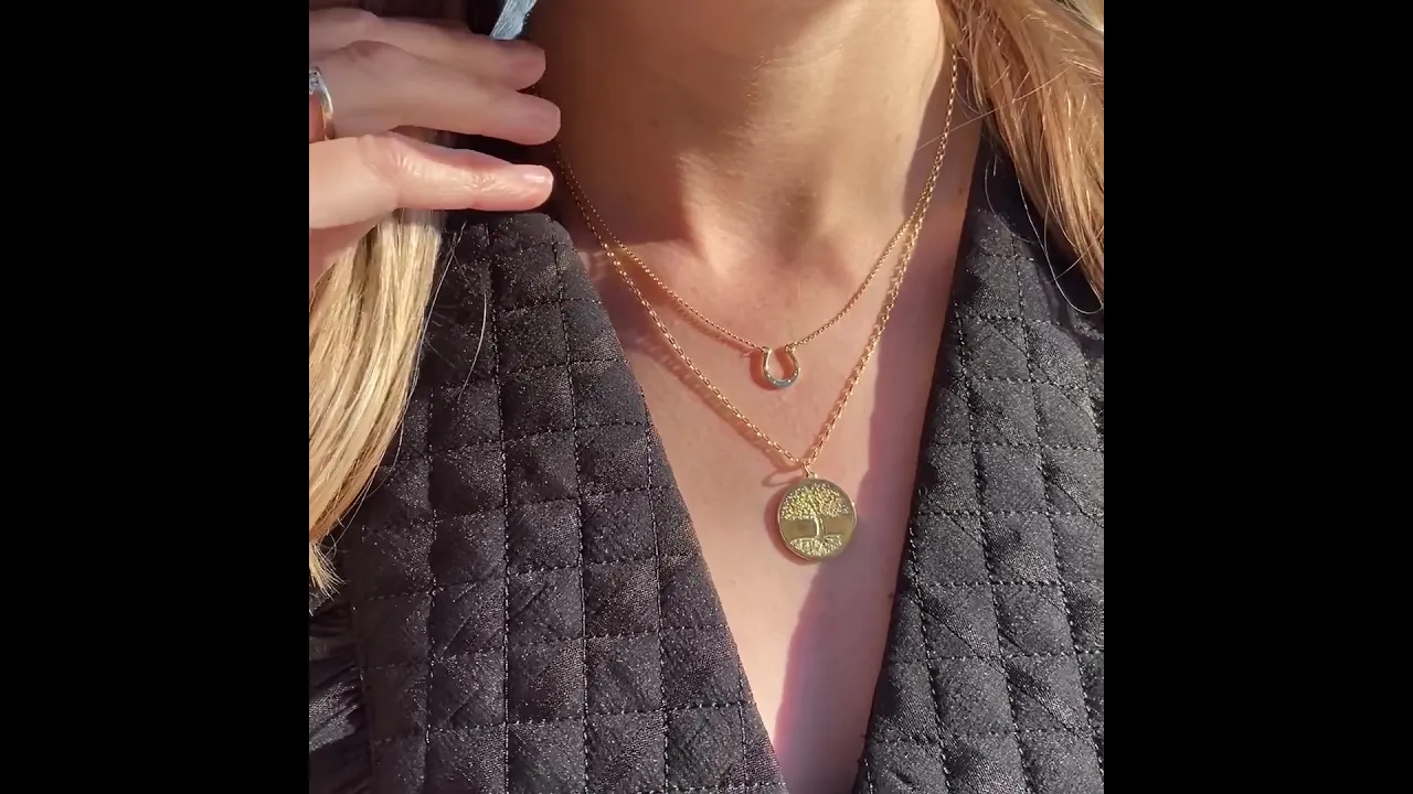 Lucky Horseshoe Small 9ct Solid Gold Necklace (Symbolising Luck and Protection)