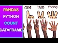 DataFrame Count Rows Columns Values Using Pandas VS Python