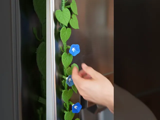 Morning Glory Magnets - Ivy Fridge Magnet - Flower Magnets video thumbnail