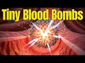 Tiny Bombs in Your Blood The Invisible Immune System That Protects You