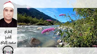 شيخ محمد الليثي سورة الصافات 