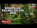 Download Lagu 🔴Kompilasi Masteran Paling EPIC 2025 Kasar Tajam Roll Speed Terbaik Tembakan Cungkok Tepus \u0026 Katem