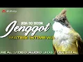 Download Lagu MASTERAN CUCAK JENGGOT GACOR SUPER MEWAH DENGAN SUARA AIR DAN JEDA VIDEO