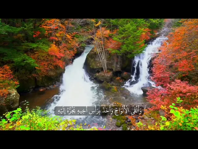 ⁣وَٱتّخَذَ قَوۡمُ مُوسَىٰ مِن بَعدِهِ مِنۡ حُلِیّهِمۡ عِجۡلࣰا جَسَدࣰا لَّهُ خُوَارٌ .. || سعد الغامدي