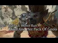 Solo Wyll The Warlock Flind And Her Pack Honor Run
