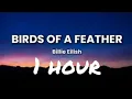 Download Lagu Billie Eilish - Birds of a feather 1 hour lyrics